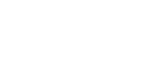 The Crane Chiropractic & Wellness website footer logo