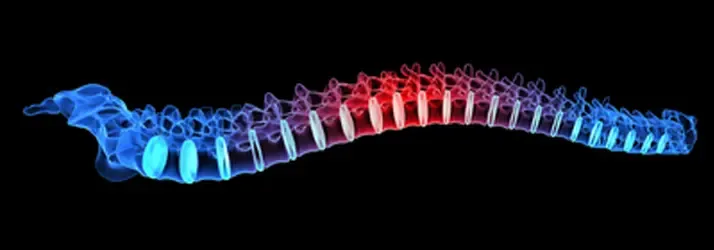 Chiropractic Burley ID Postural Abstract depiction of a human spine transitioning from blue to red to represent stress levels.